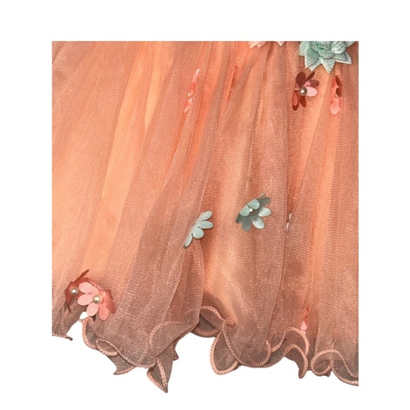 Peach Tulle Flower Girl Dress (Enfance, Size 16) - Picture 5 of 6